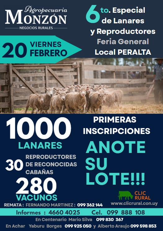 Remate 20 de Febrero - Local Peralta