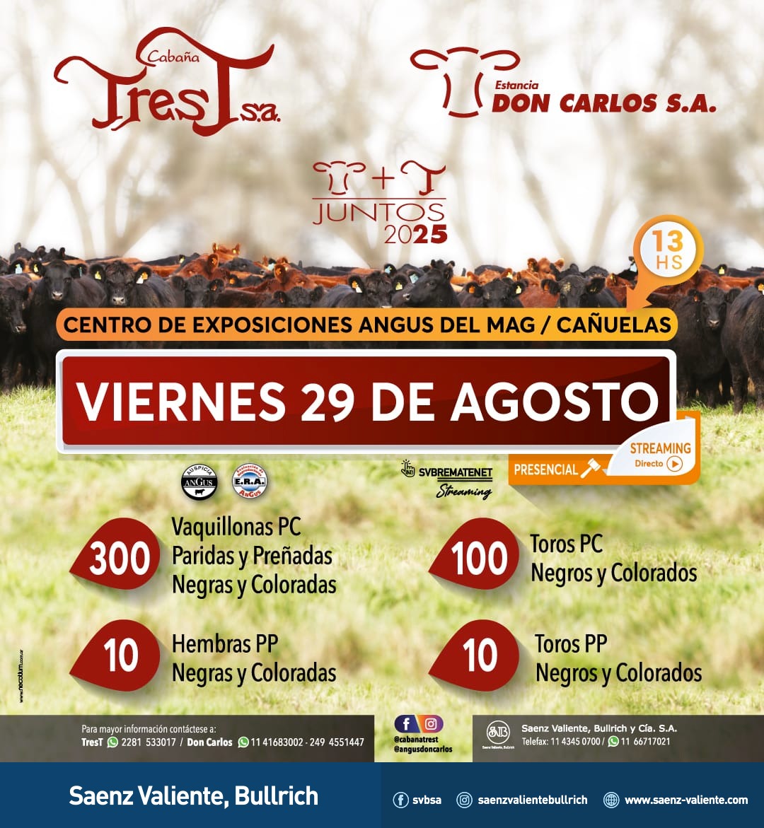 Tres T y Don Carlos