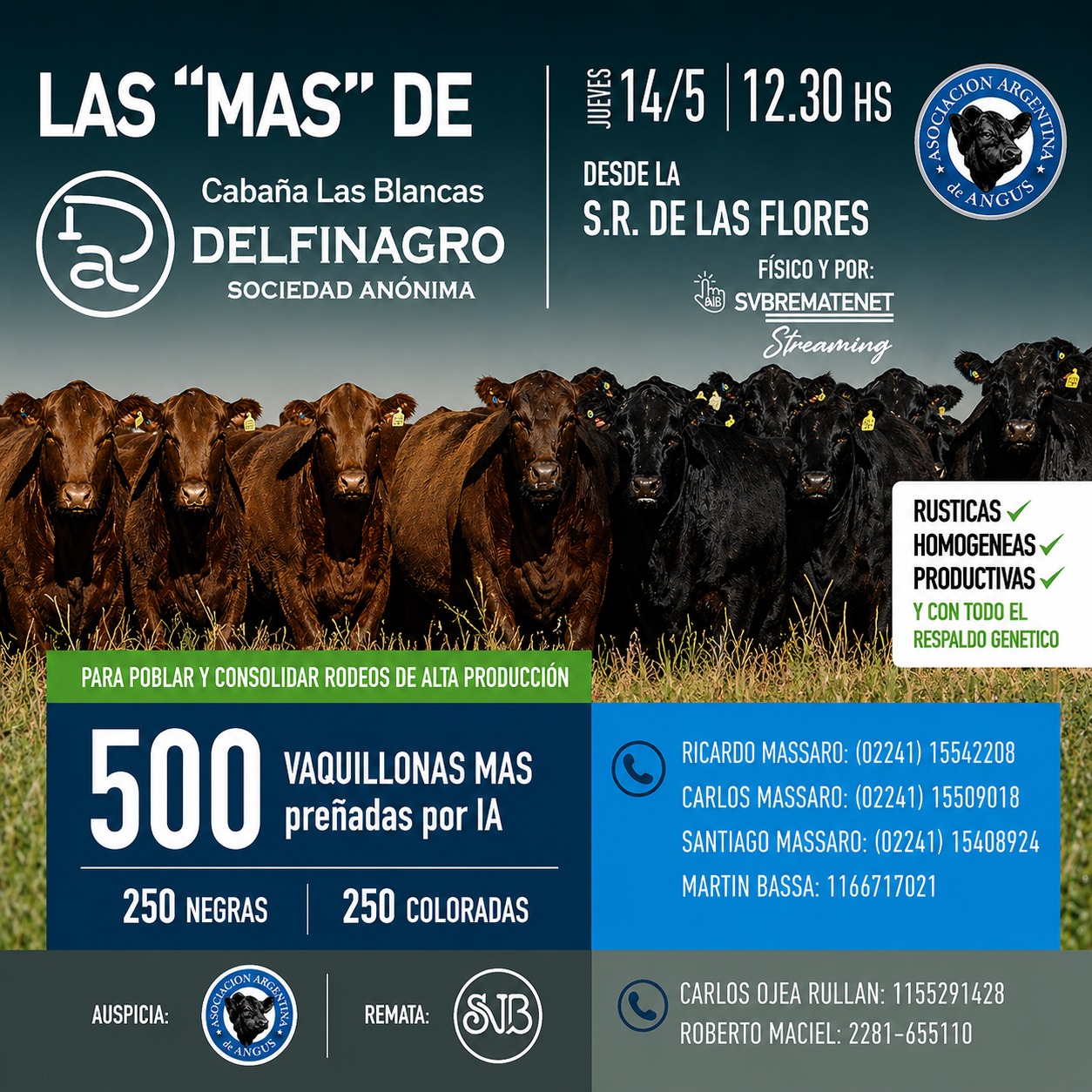 Remate Cabaña Las Blancas de Delfinagro 