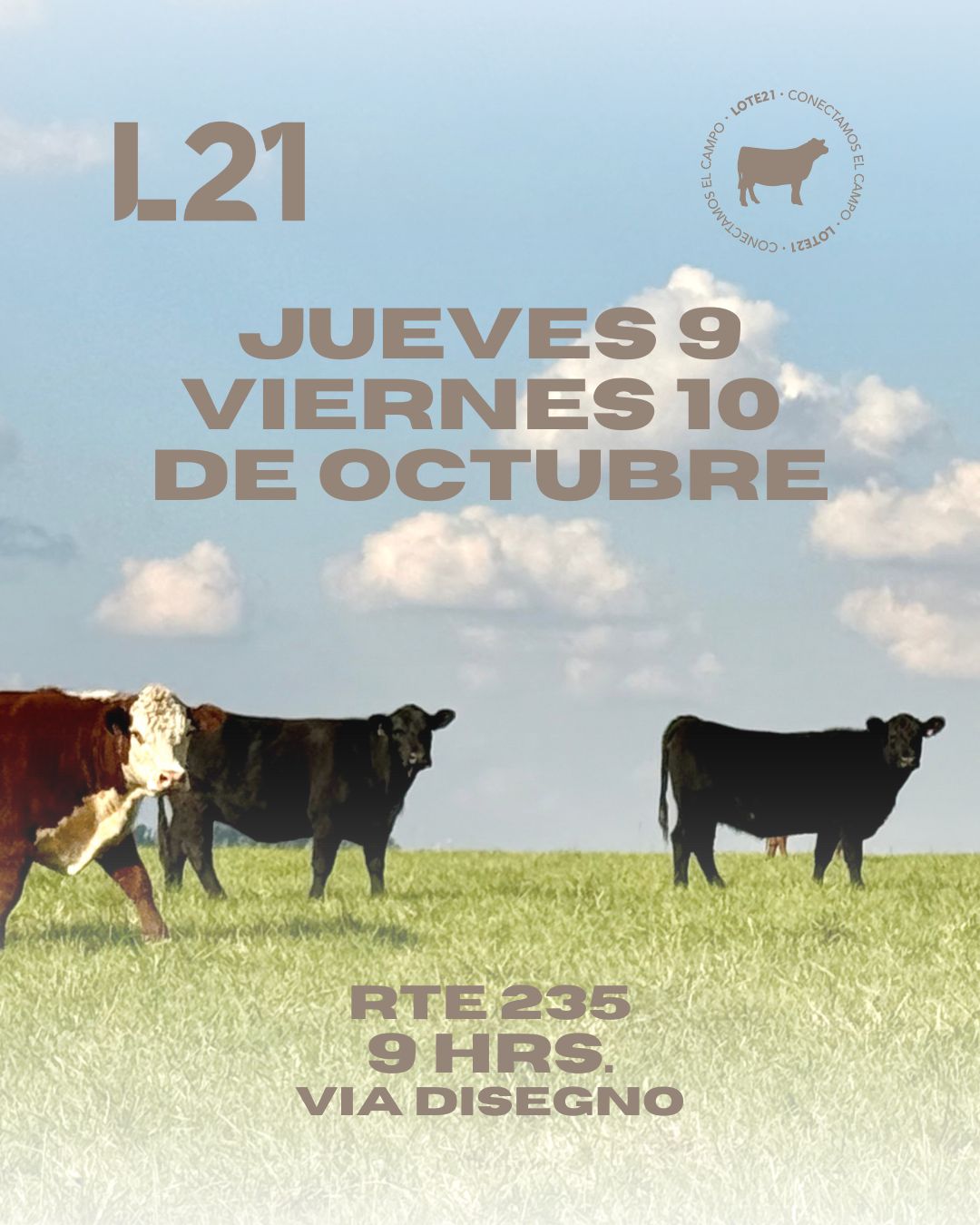 235º remate Lote21