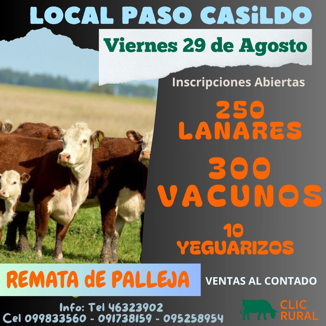 Remate Feria Mensual - Federico de Palleja