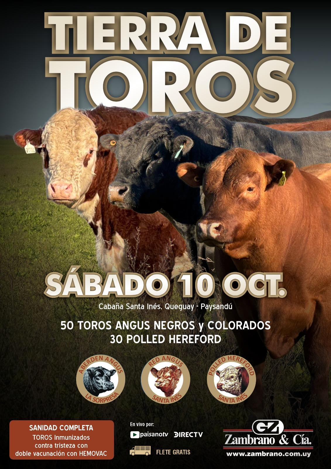Tierra de Toros