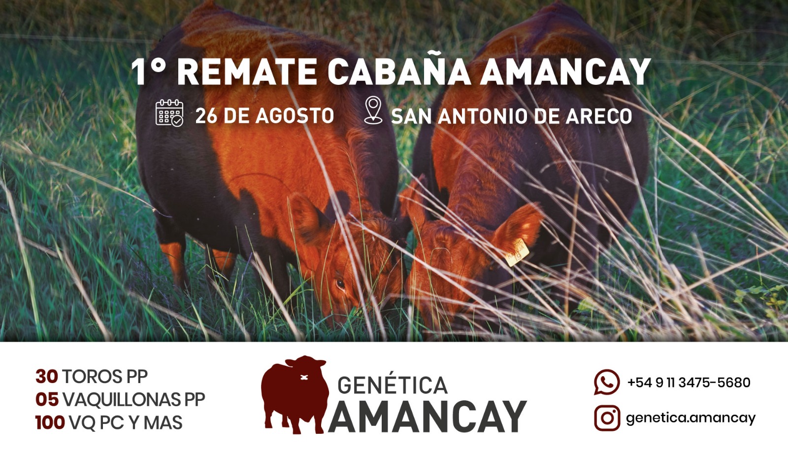 Remate Cabaña Angus Amancay