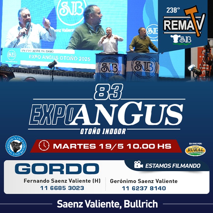 238° RematV - GORDO