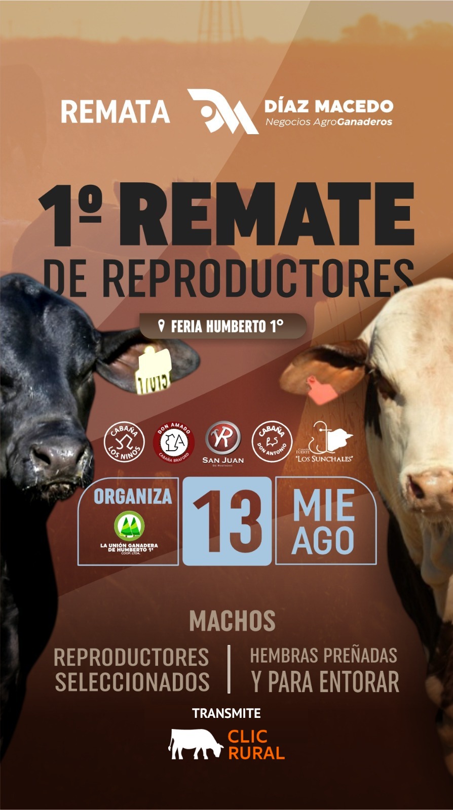 Remate 1er Remate de Reproductores