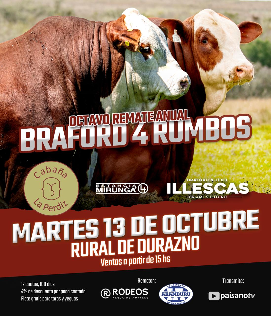 Braford 4 Rumbos