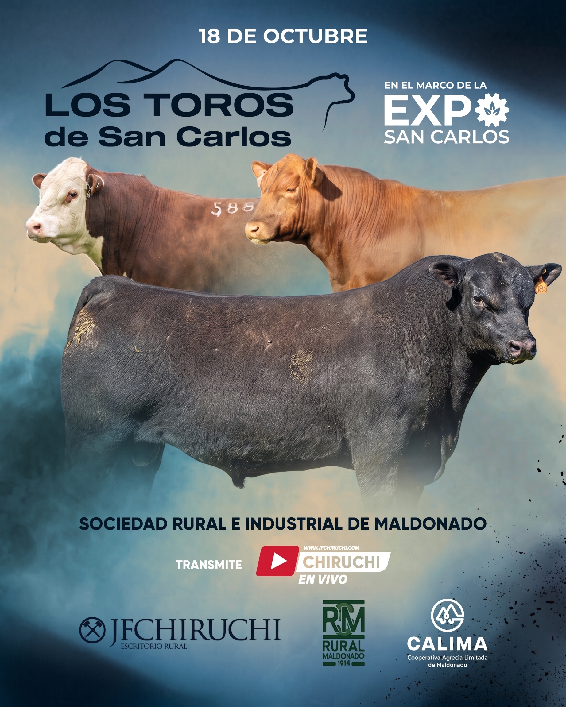 LOS TOROS DE SAN CARLOS