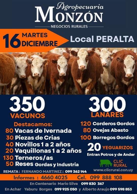 Afiche Feria Mensual - Agropecuaria Monzon