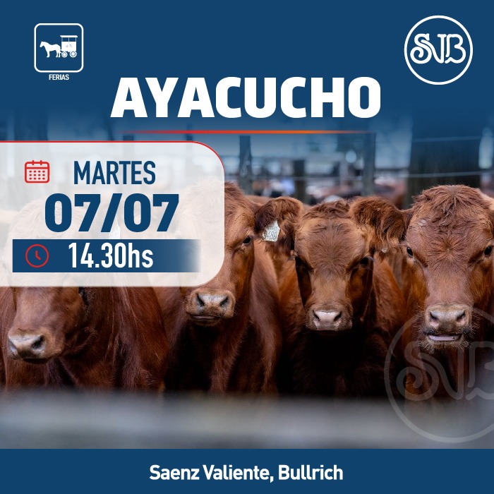 Feria en Ayacucho