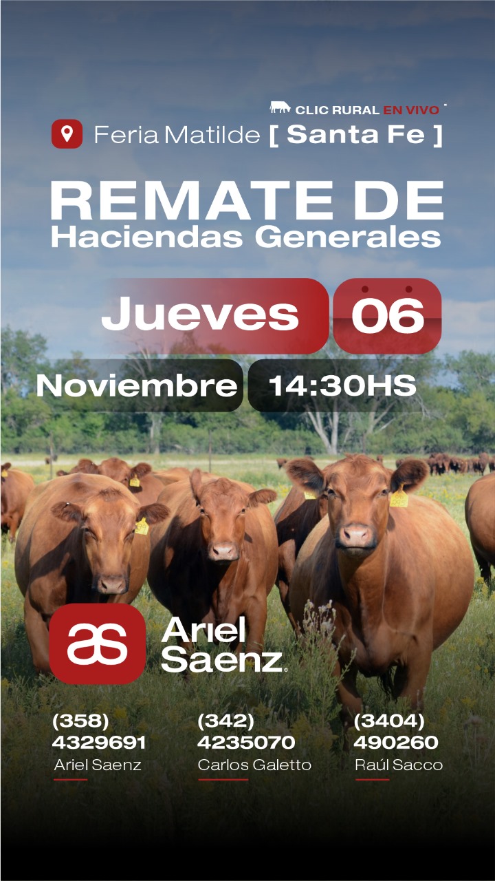 06 de Noviembre - Matilde