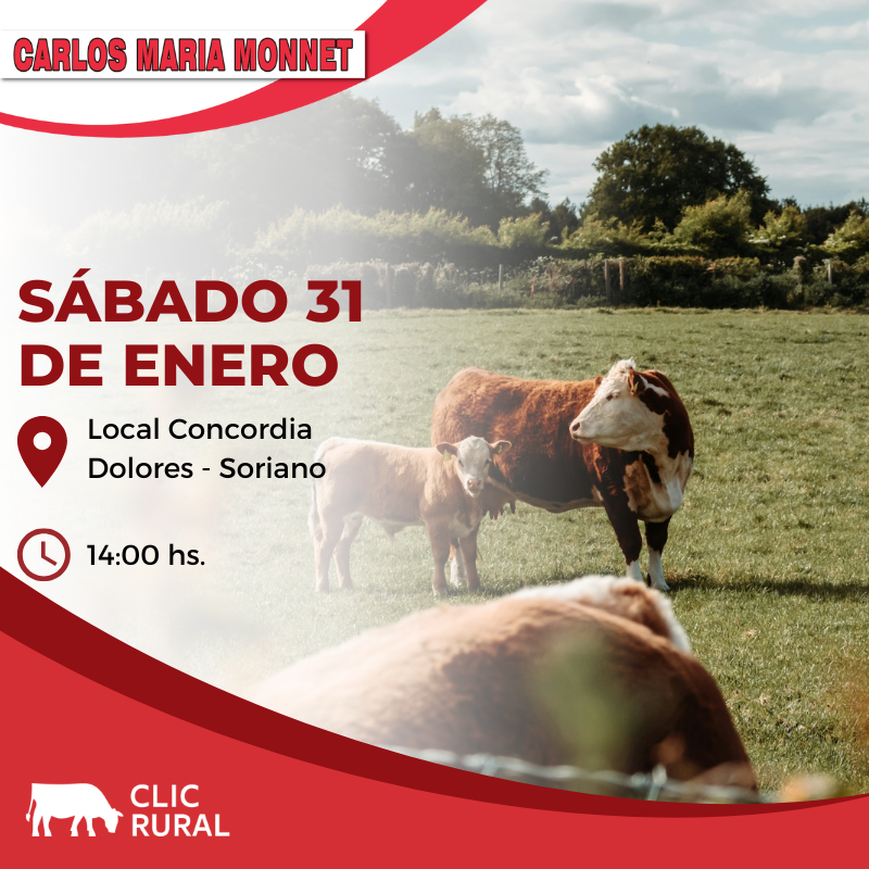 Remate Feria en Local Concordia