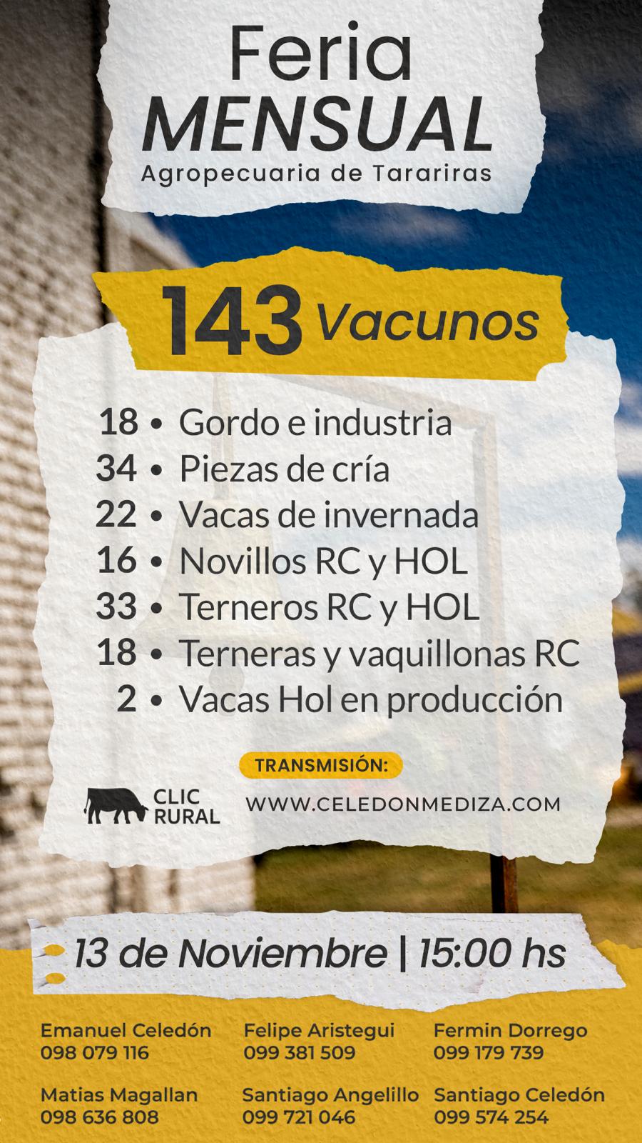 Remate Feria mensual - Celedon Mediza