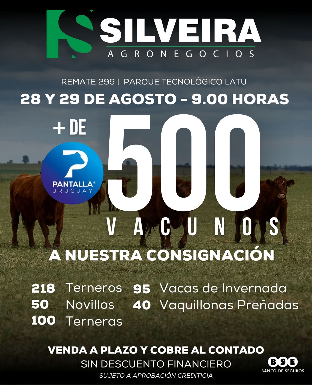 299º remate Pantalla Uruguay