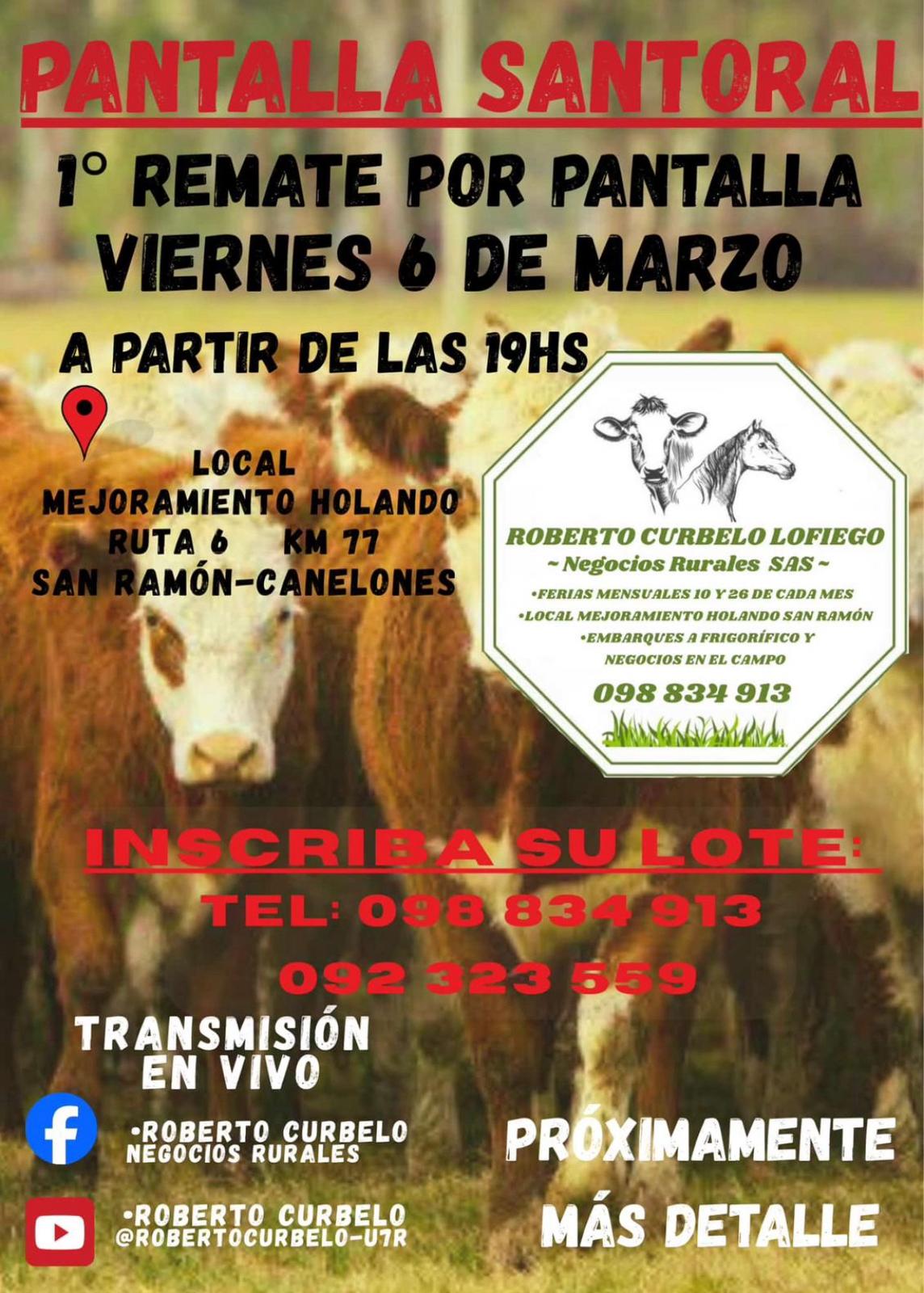 Remate 06 de Marzo - Ruta 8 Km 44