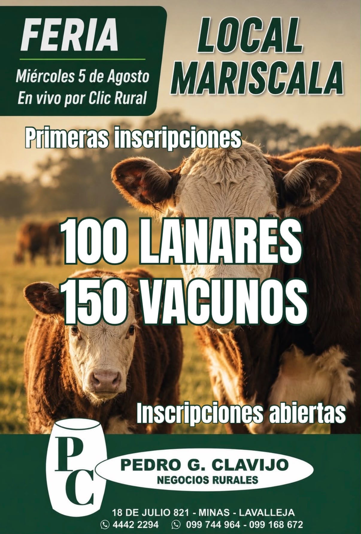 Remate Feria mensual - Pedro G Clavijo