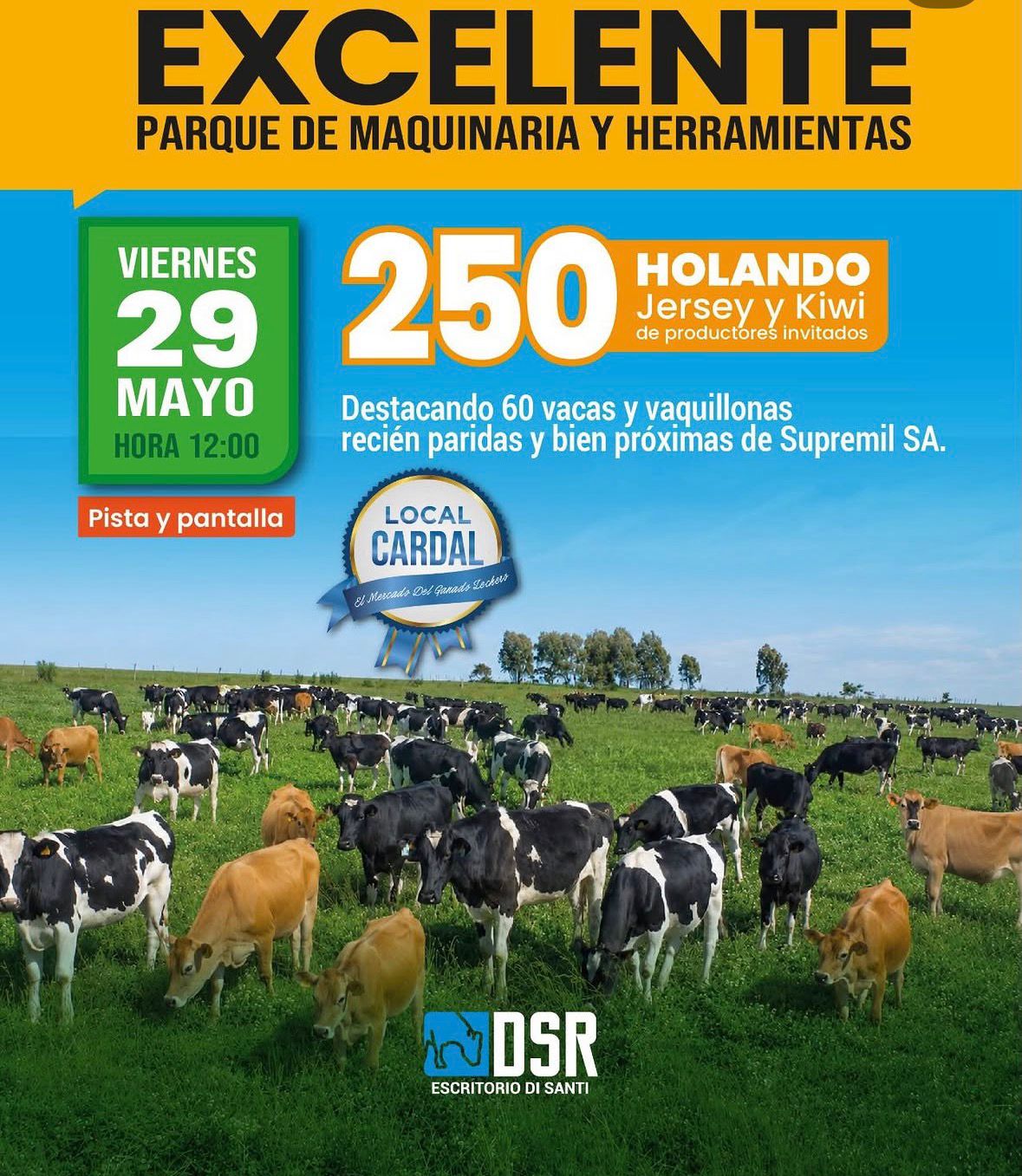 Remate 400 Holando, Jersey y Kiwi