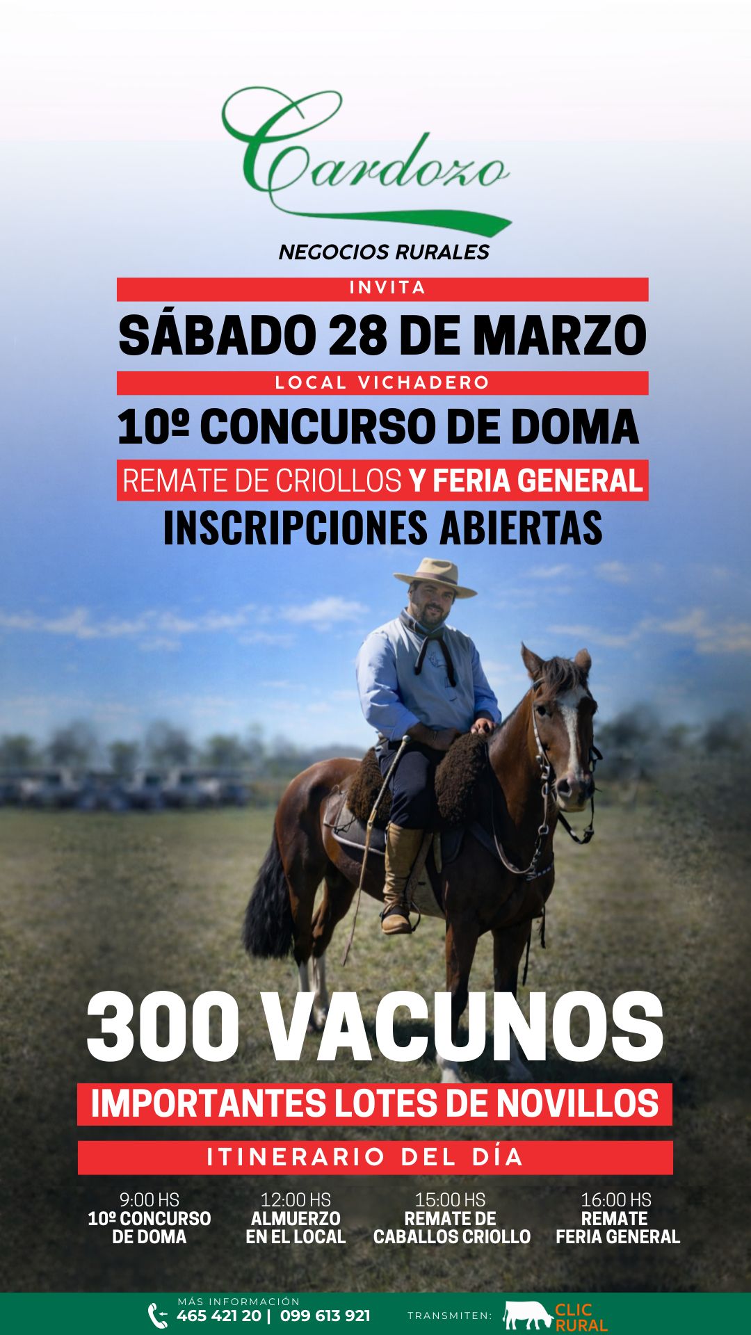 Remate 10º Concurso de doma y remate de criollos