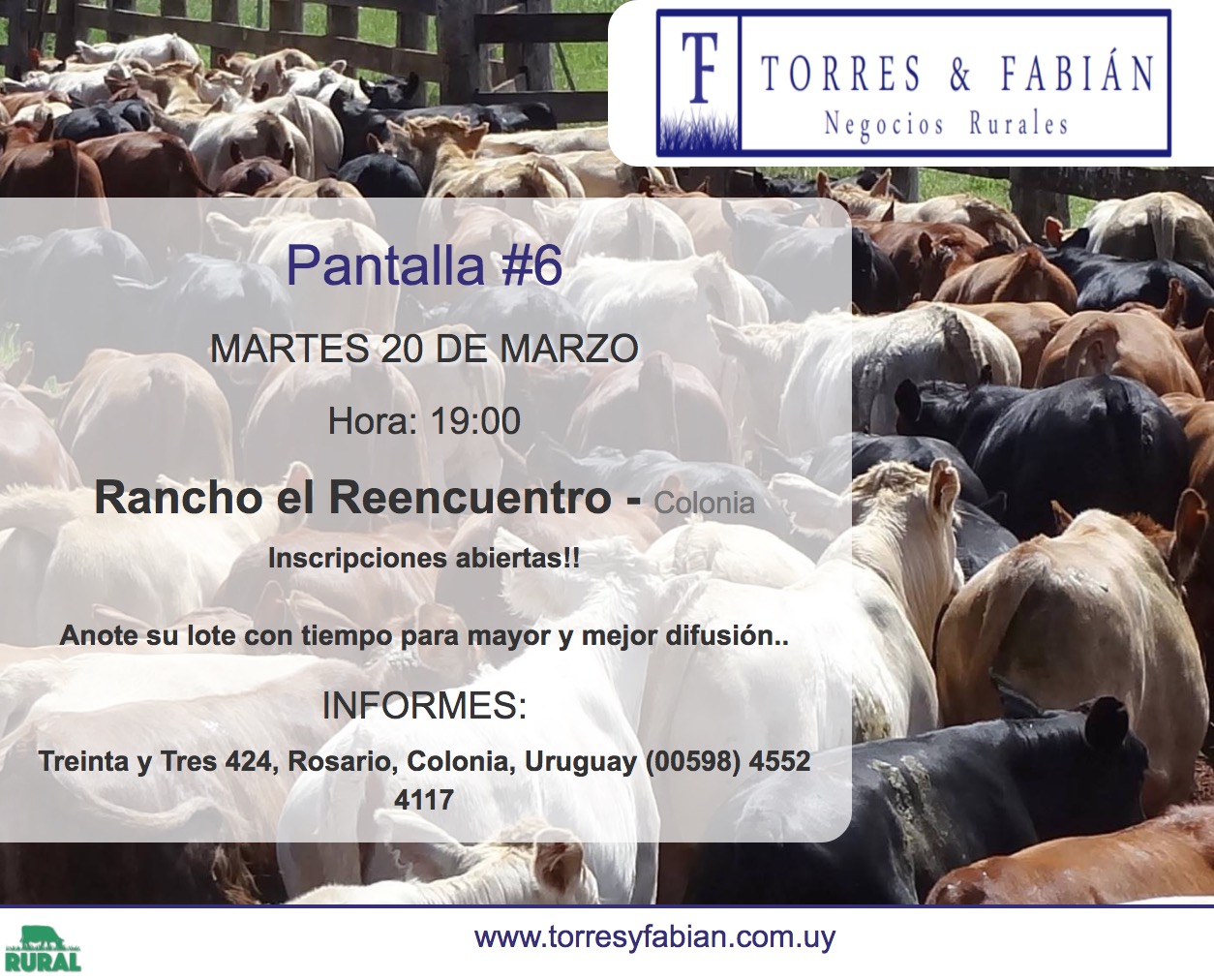 Afiche Pantalla #6 