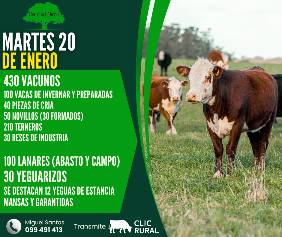 Remate Feria mensual - Cerro del Ombu