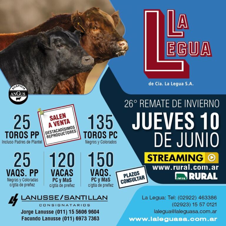 Afiche 26° Remate La Legua
