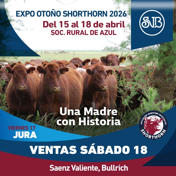 Expo Otoño Shorthorn 2026