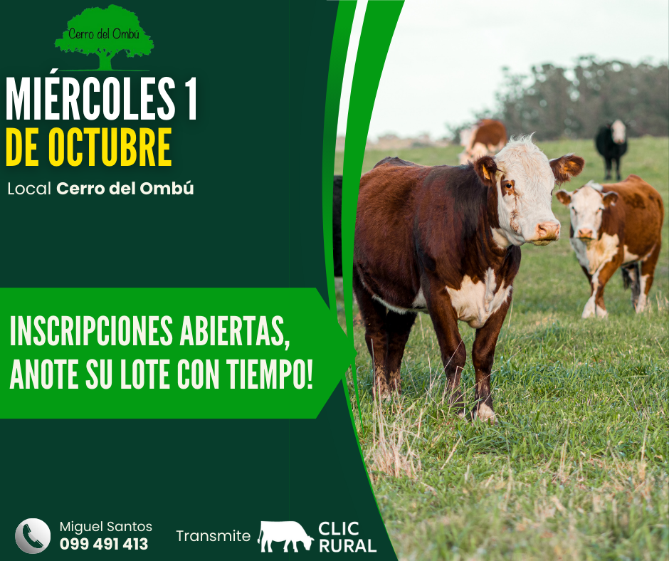 Remate Feria Mensual - Cerro del Ombu