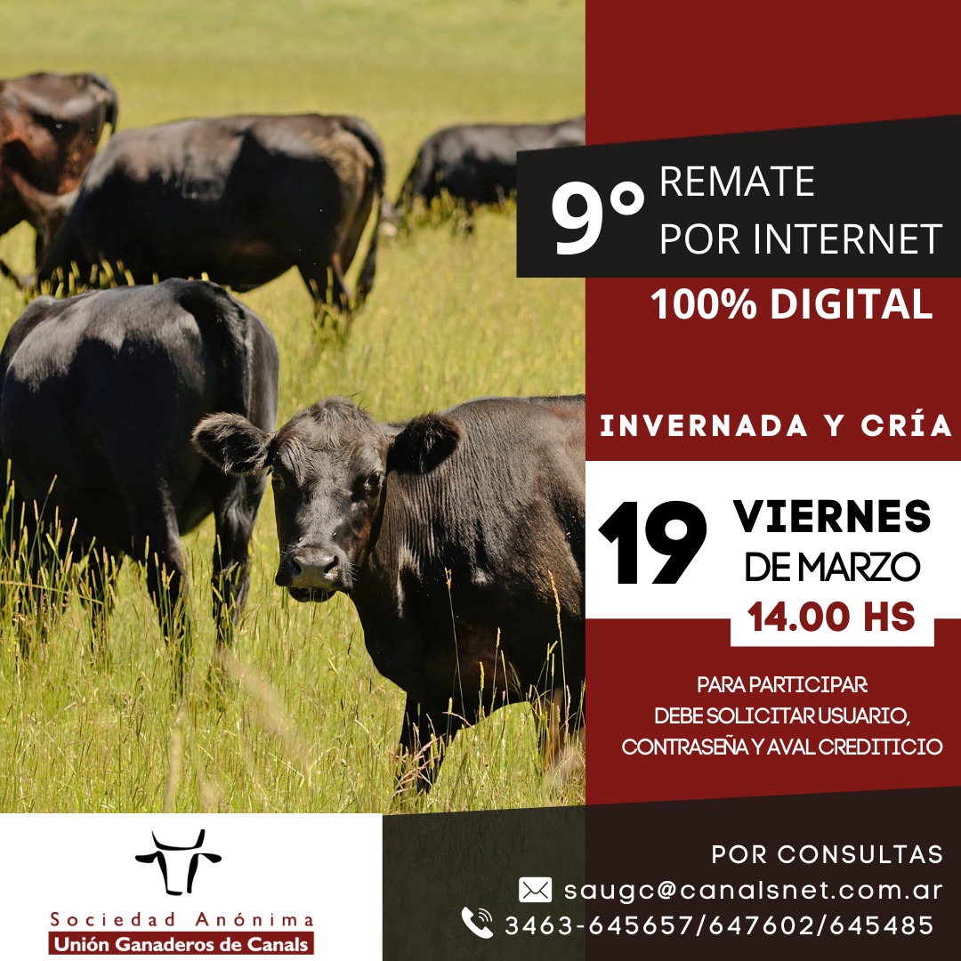 Afiche 9º Remate por Internet