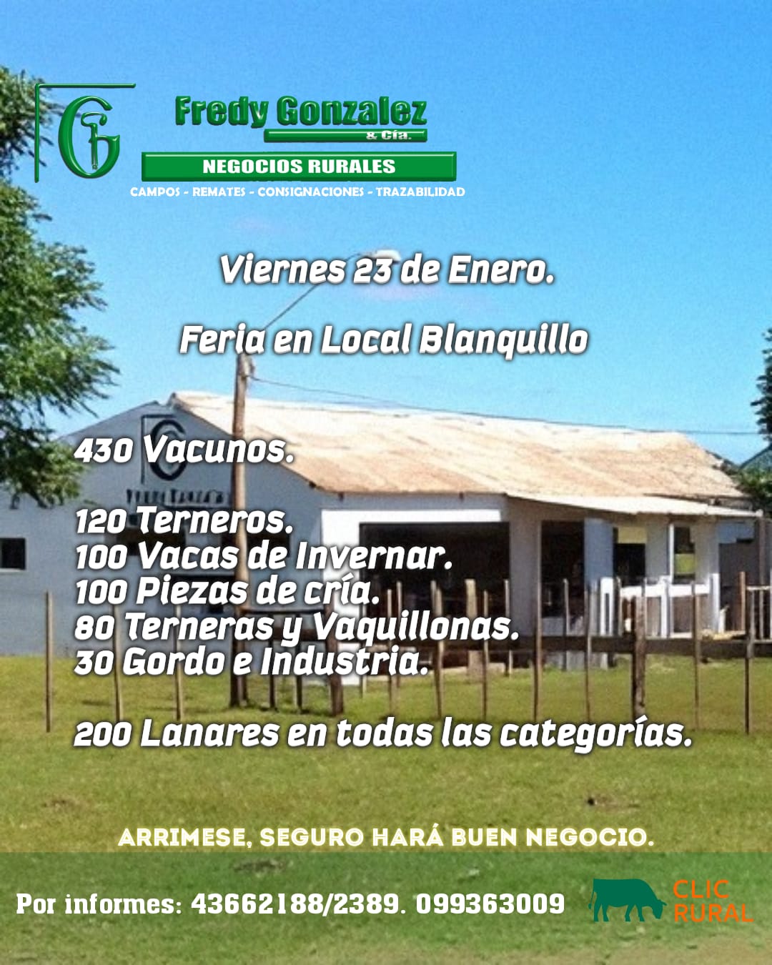 Remate Feria en Local Blanquillo