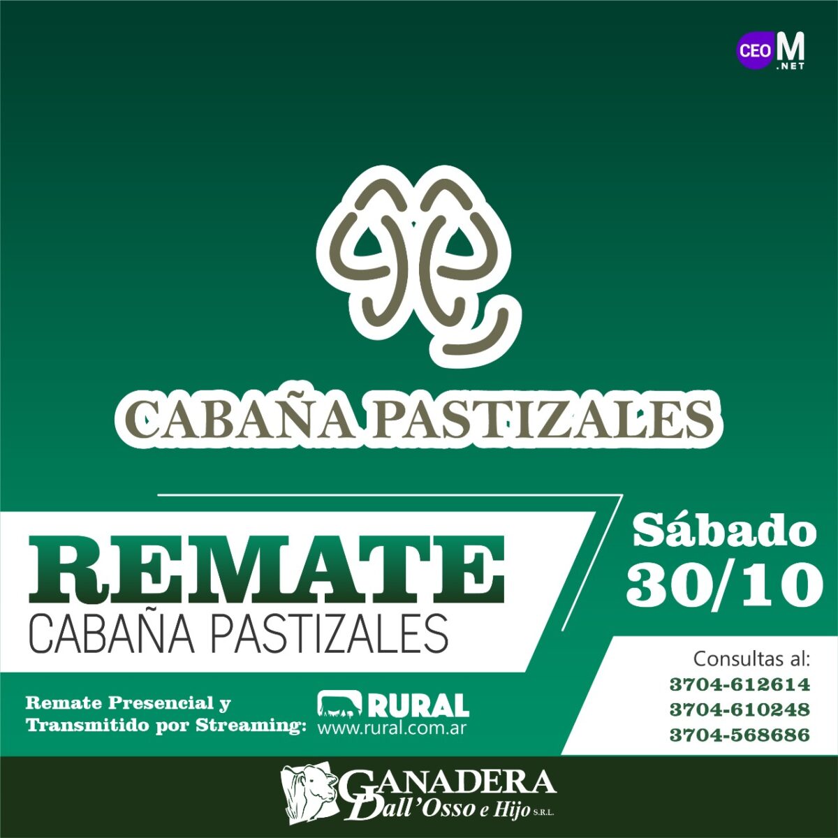 Afiche Cabaña Pastizales