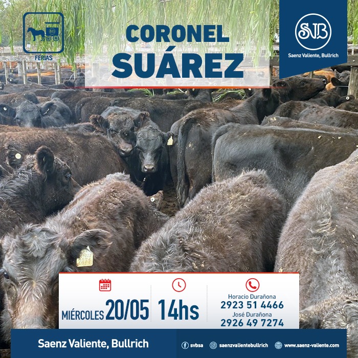 Remate Feria en Cnel. Suárez