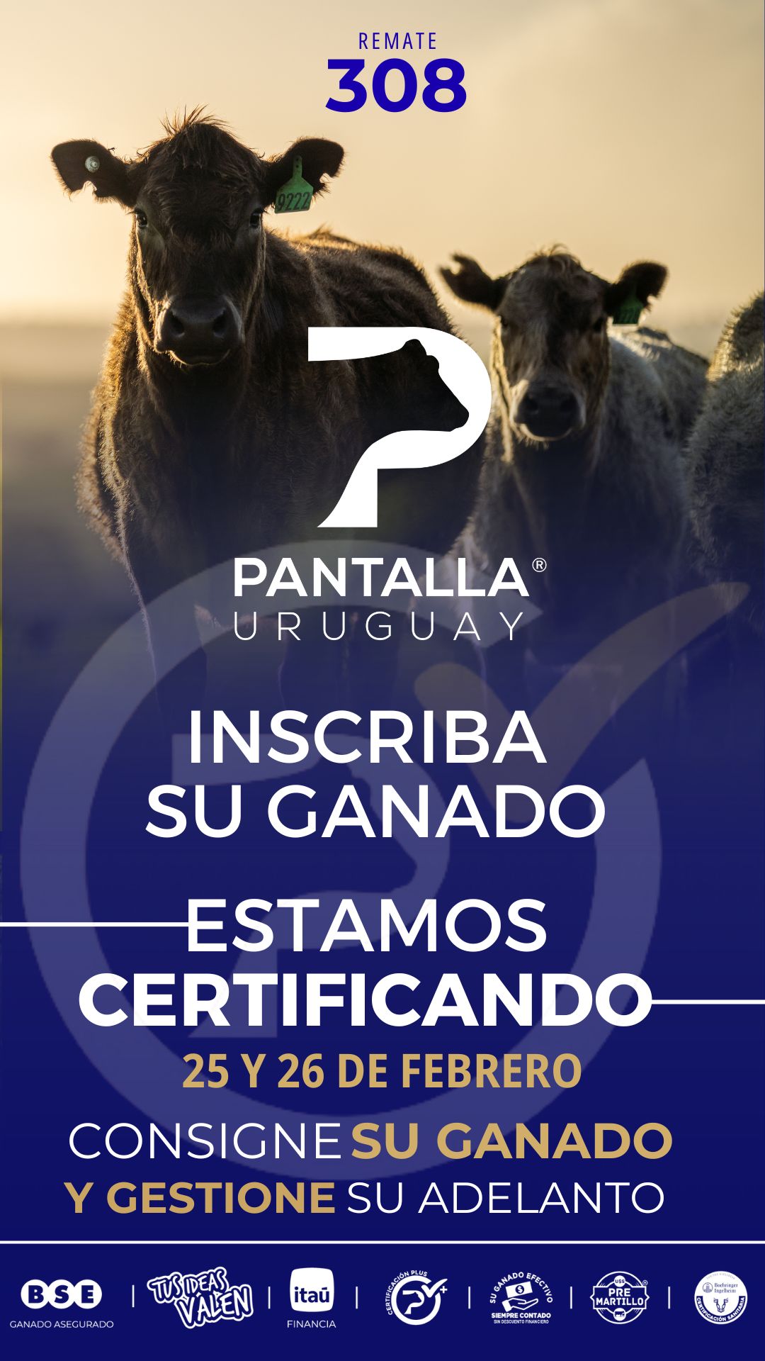 308º remate Pantalla Uruguay