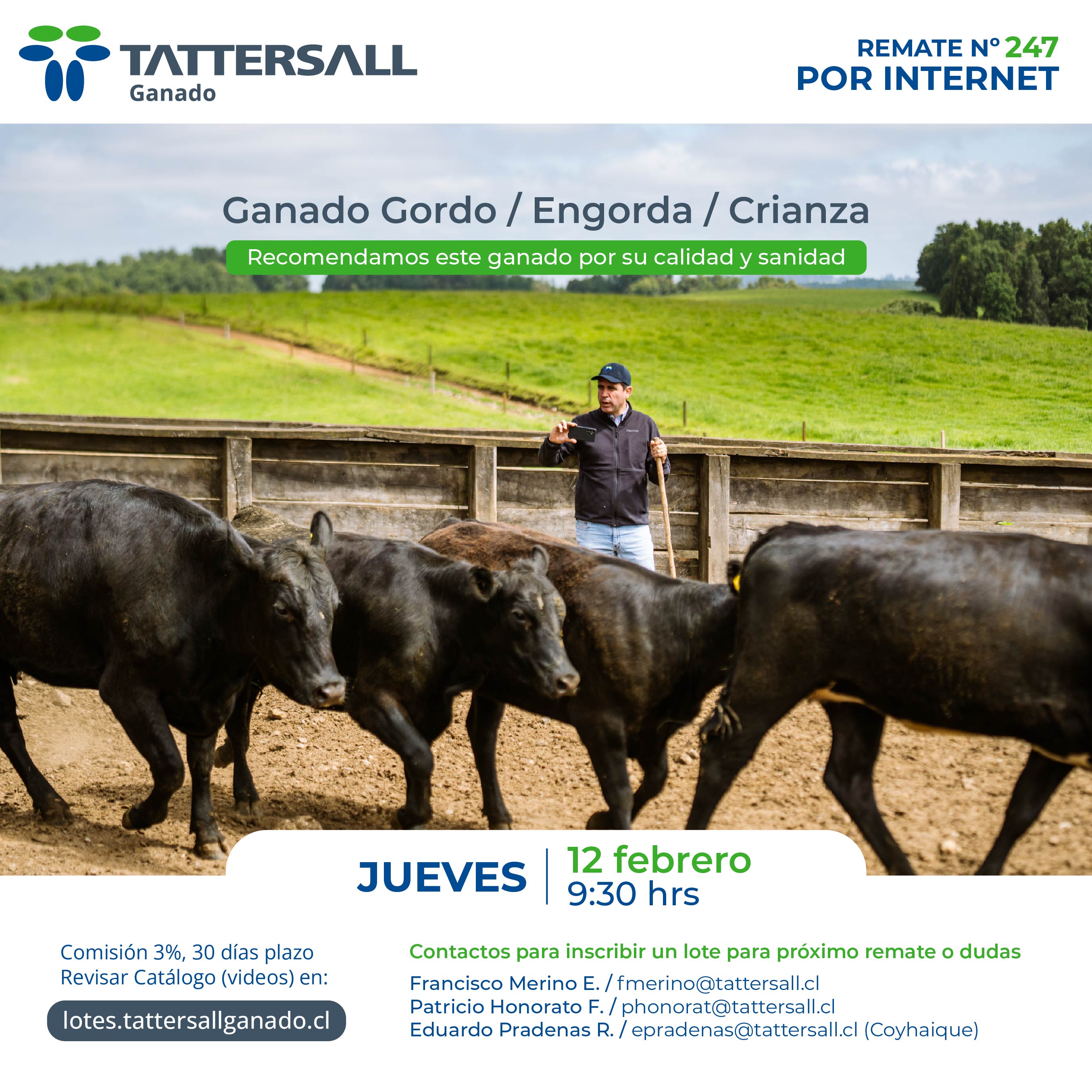 Remate 12 de Febrero Ganado Crianza y Engorda