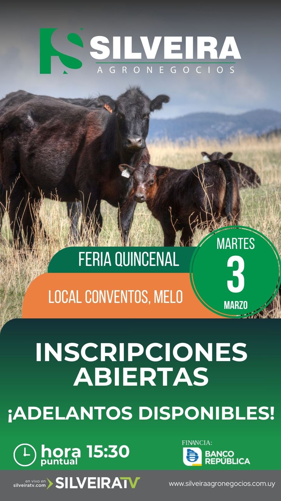 Feria Quincenal - Silveira Agronegocios