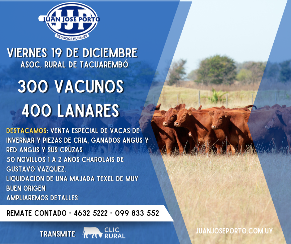 Feria Mensual - Juan Jose Porto