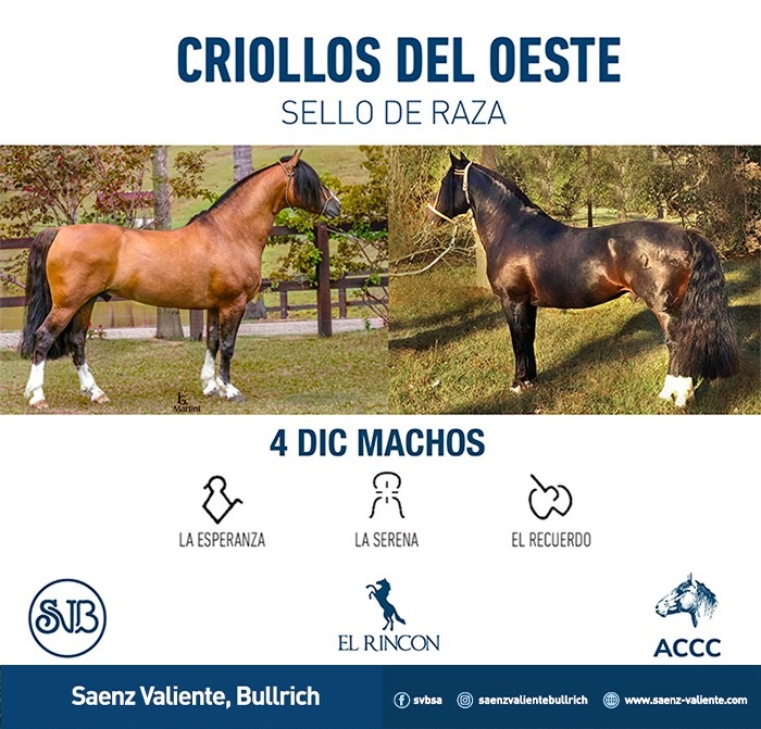 Criollos del Oeste - Machos