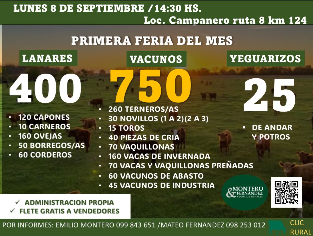 Afiche Feria Mensual - Montero Fernandez