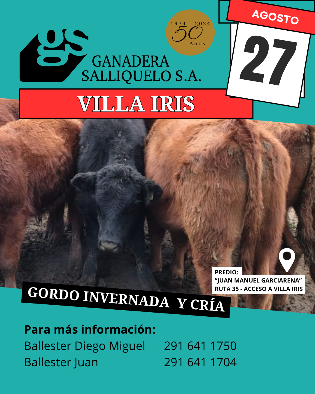 Afiche REMATE EN VILLA IRIS