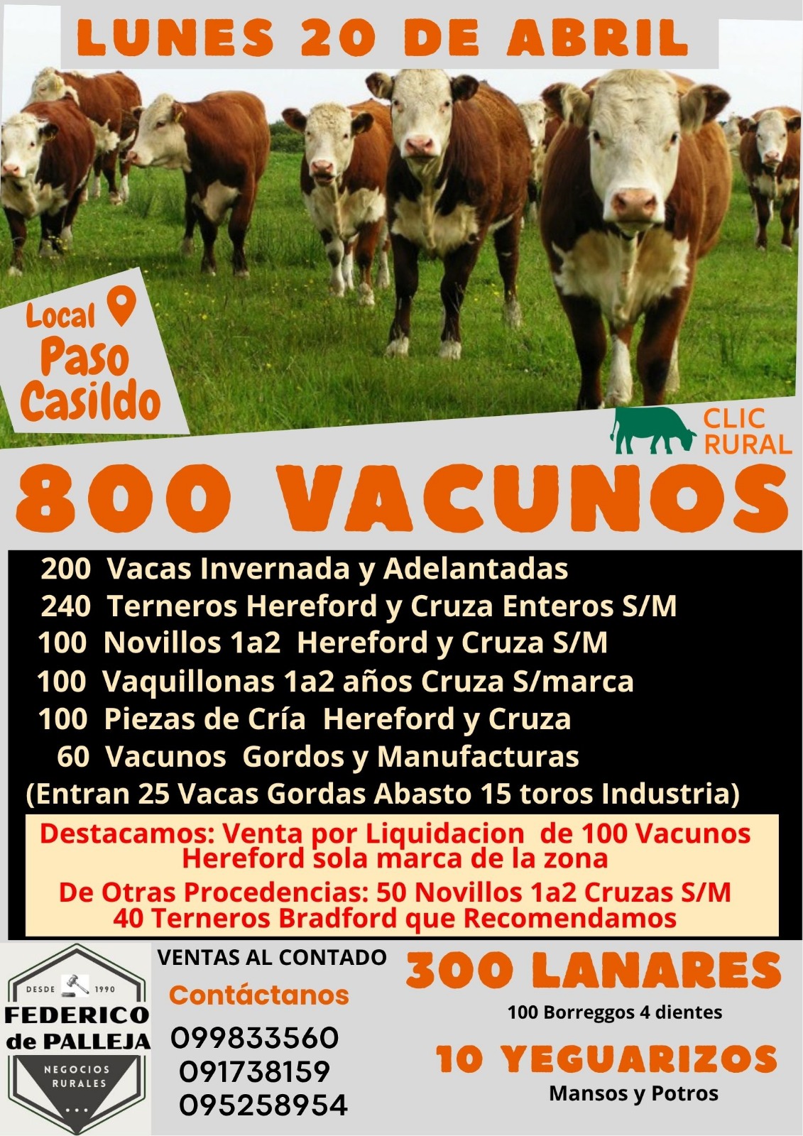 Feria mensual - Federico de Palleja