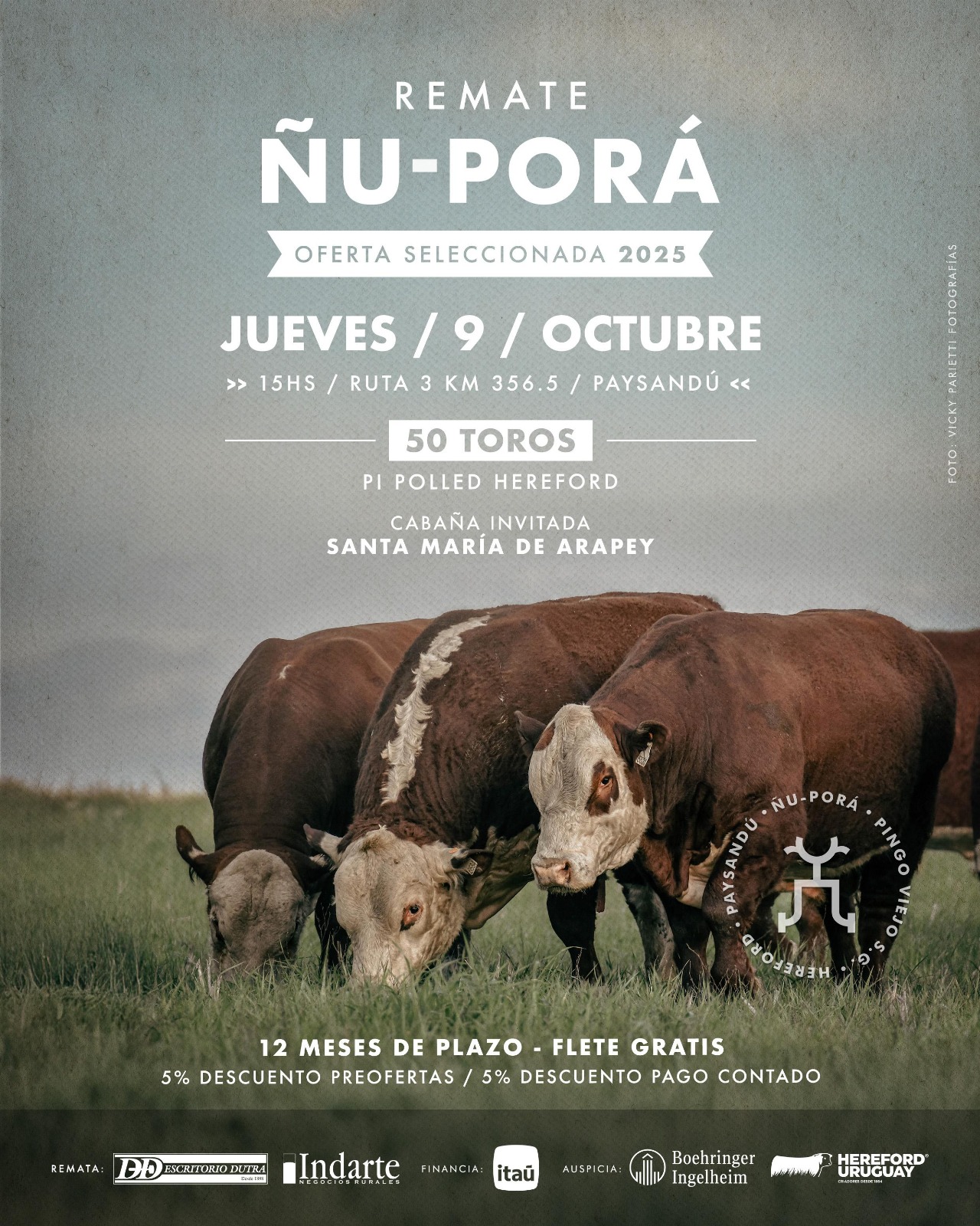 Ñu Porá