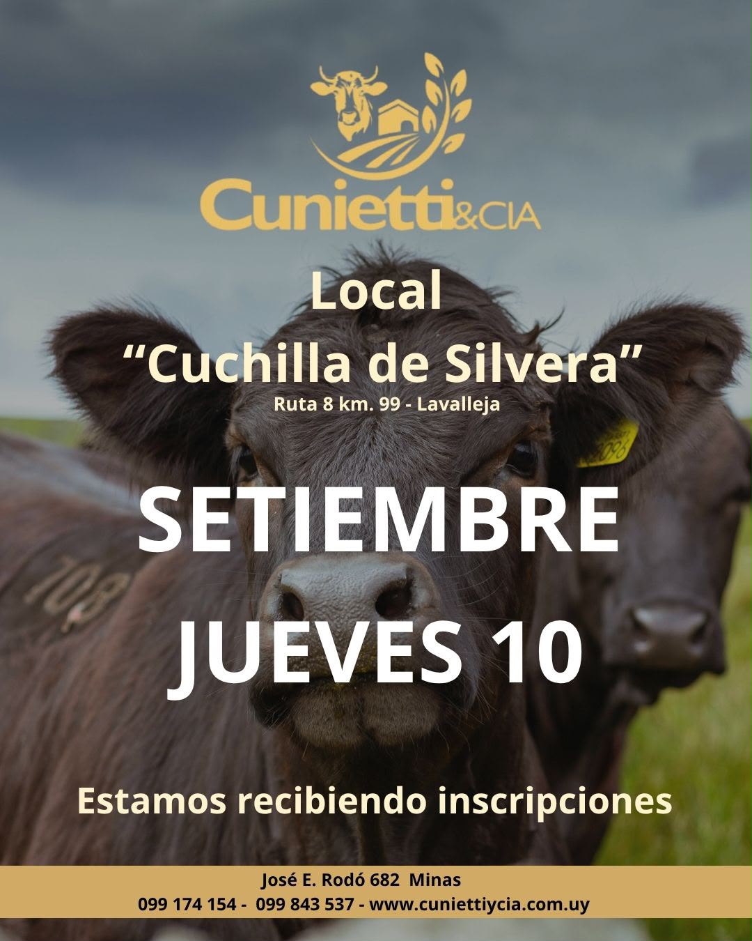 Remate Feria mensual - Cunietti y Cia