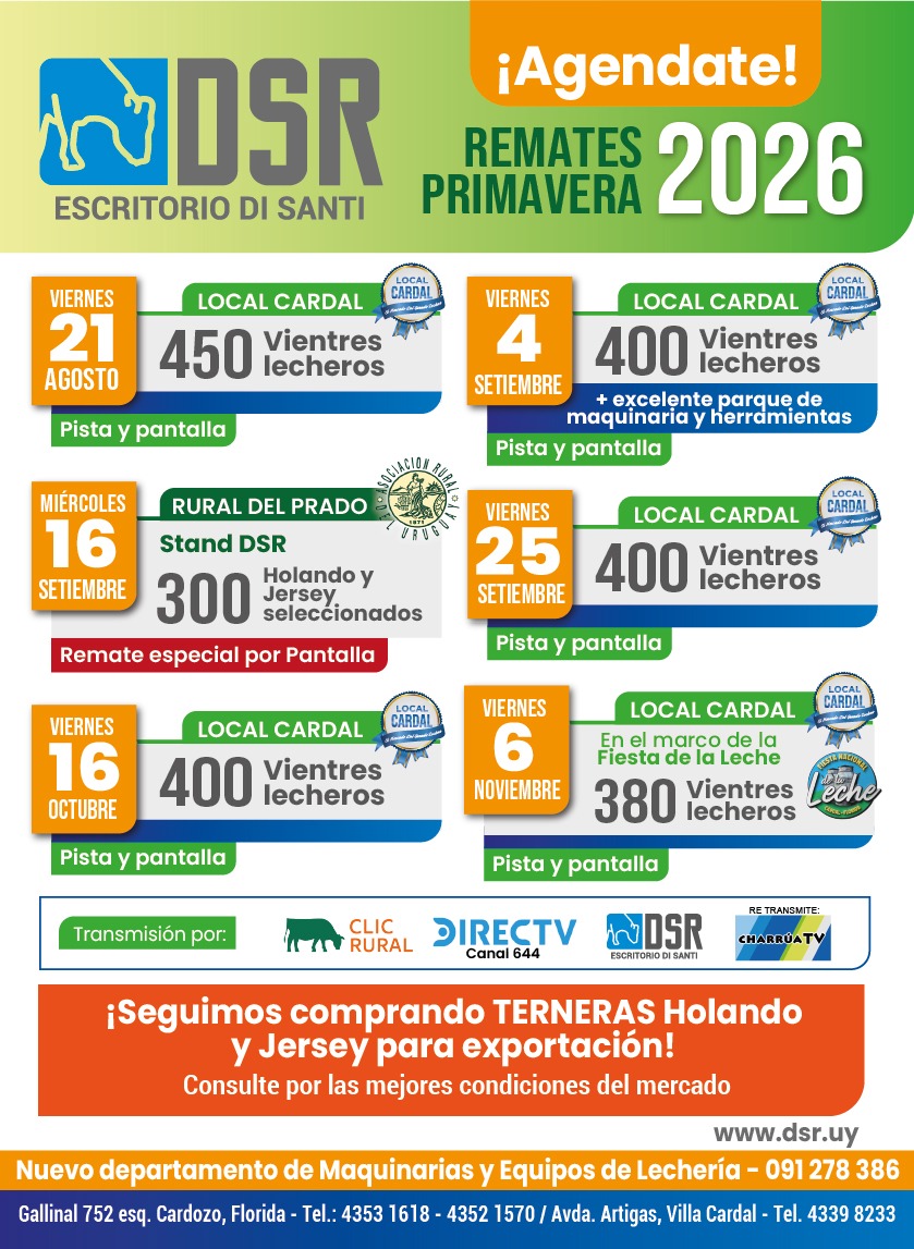 Afiche Pista y Pantalla - Escritorio Di Santi