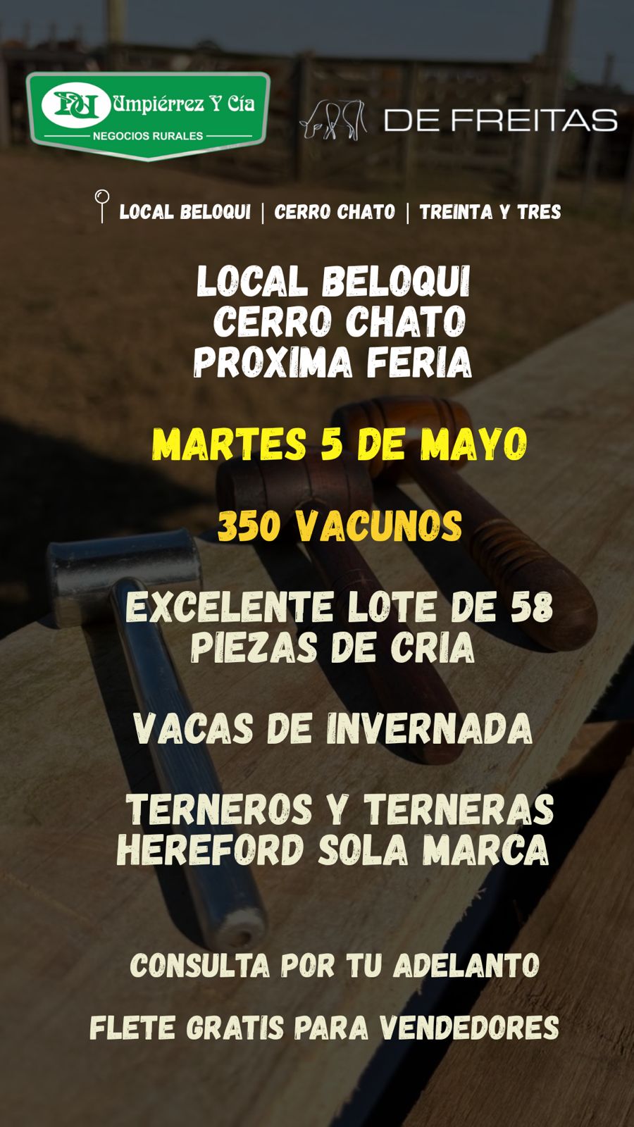 05 de Mayo - Local beloqui