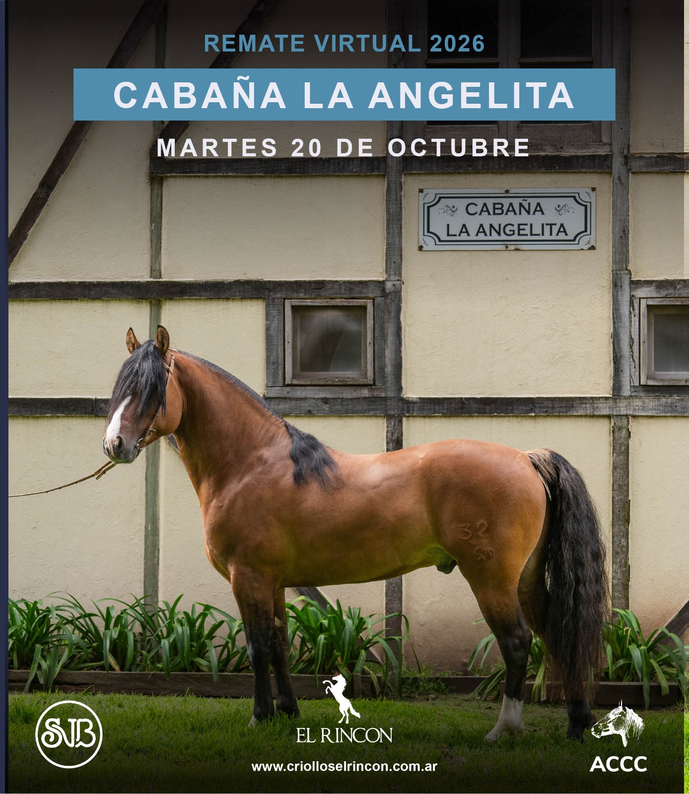 Afiche Cabaña La Angelita 