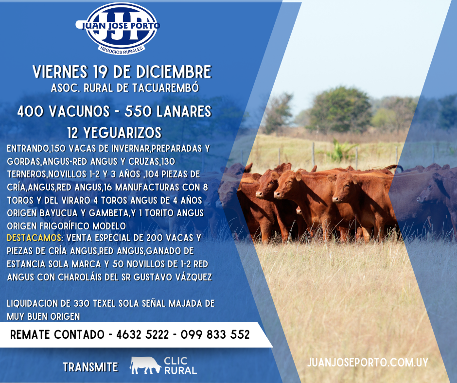 Feria Mensual - Juan Jose Porto