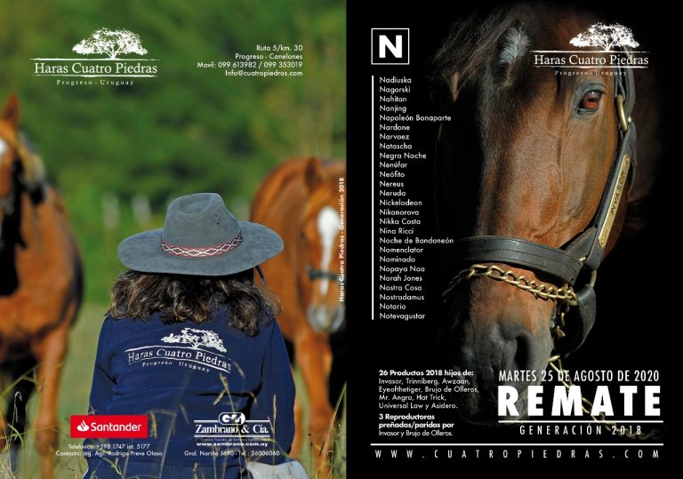 Afiche Haras Cuatro Piedras