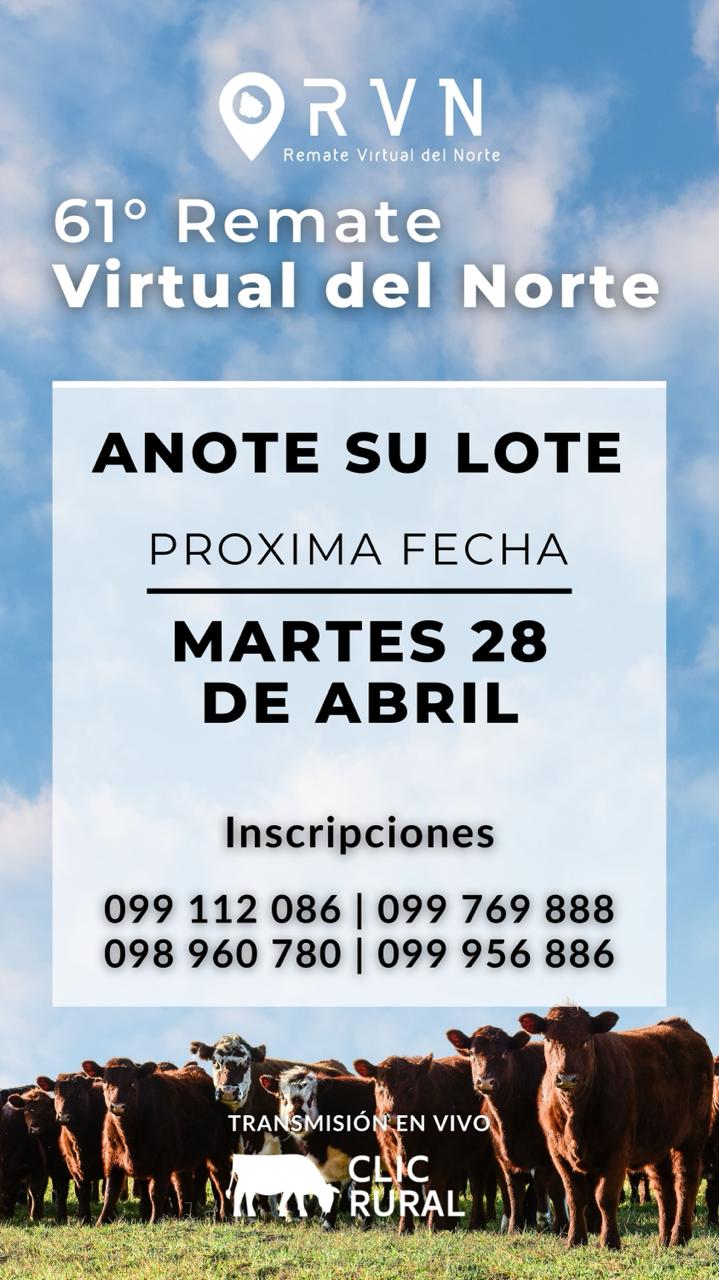 61º Remate Virtual del Norte