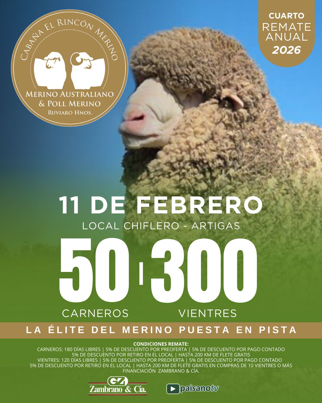 Cabaña El Rincon Merino