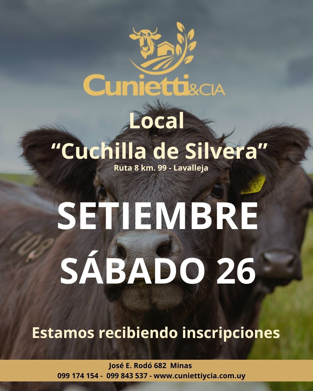 Remate Feria mensual - Cunietti y Cia