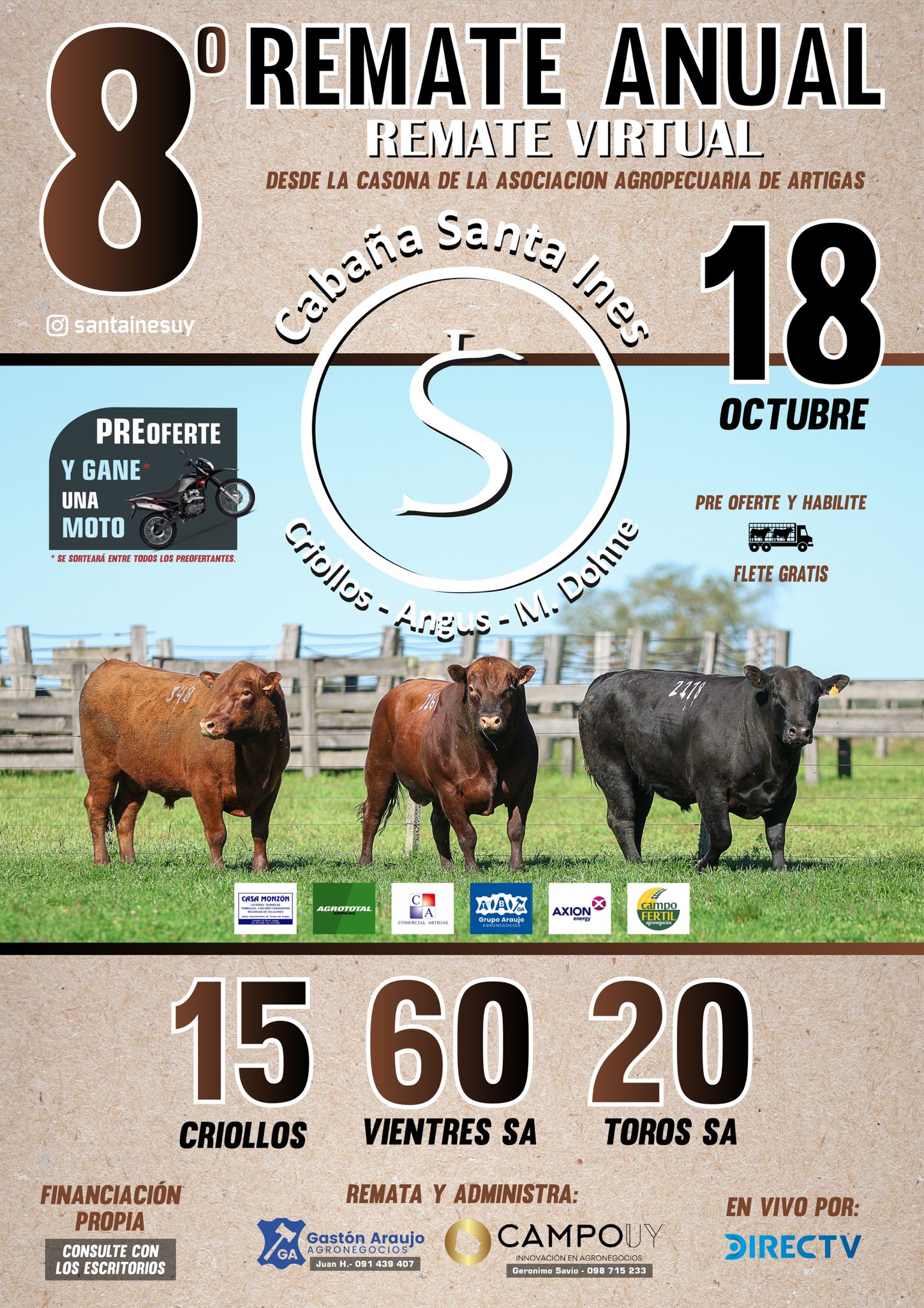 8° Santa Ines