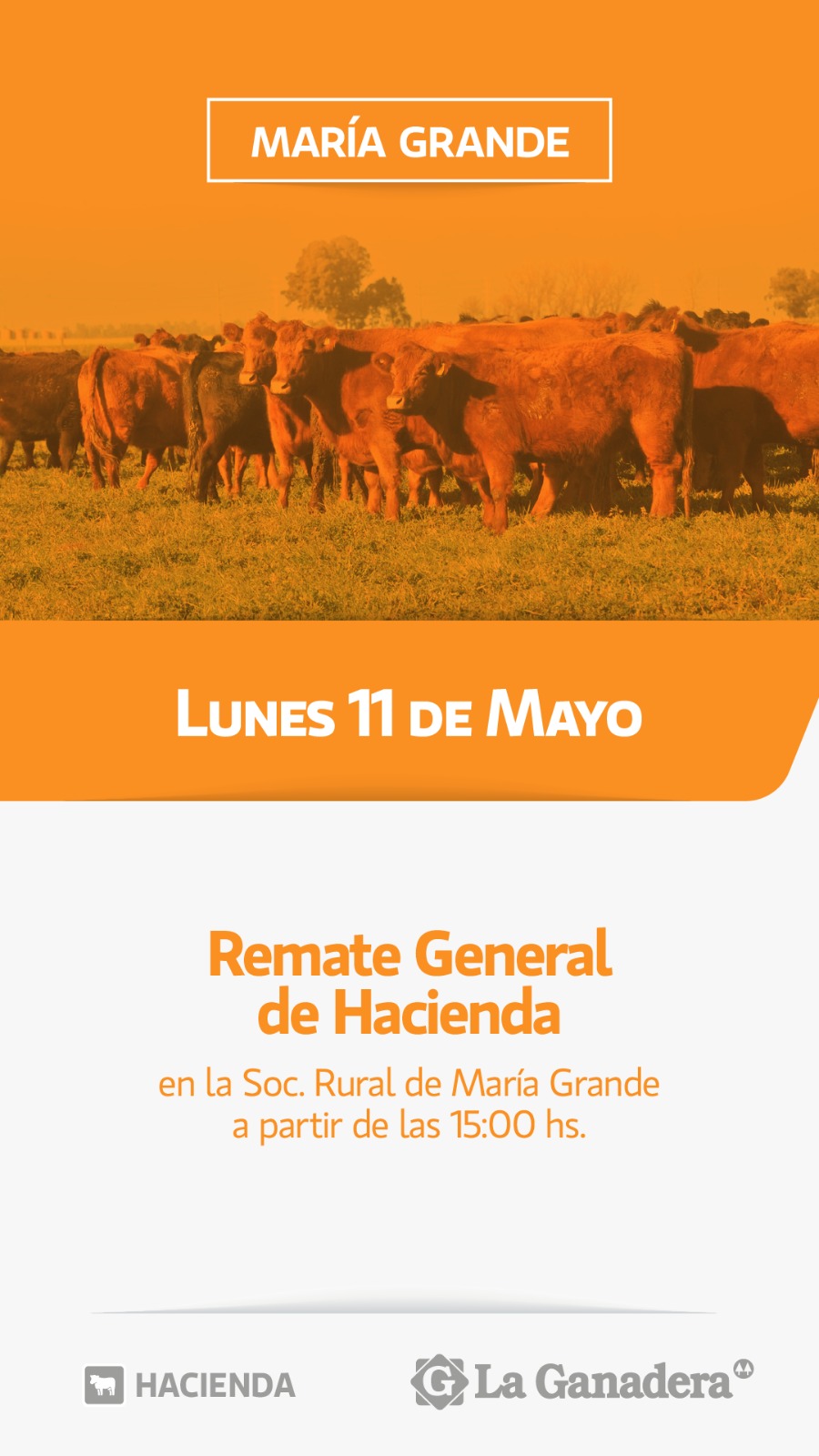 Remate REMATE FERIA EN SOCIEDAD RURAL DE MARÍA GRANDE